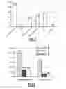 Fig. 08 - Formulation for the Delivery of Nucleotide Sequences That Can Modulate Endogenous Interfering RNA Mechanisms