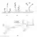 Fig. 01 - Gold/lanthanide nanoparticle conjugates and uses thereof