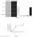 Fig. 11 - USE OF SPHINGOID LONG CHAIN BASES AND THEIR ANALOGS IN TREATING AND PREVENTING BACTERIAL INFECTIONS