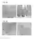 Fig. 22 - Compositions and methods for promoting intestinal stem cell function