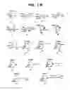 Fig. 03 - Method for Increasing the Activity of Lysosomal Enzymes