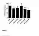 Fig. 05 - USE OF CYCLODEXTRIN FOR TREATMENT AND PREVENTION OF BRONCHIAL INFLAMMATORY DISEASES