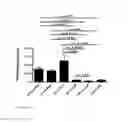 Fig. 06 - USE OF CYCLODEXTRIN FOR TREATMENT AND PREVENTION OF BRONCHIAL INFLAMMATORY DISEASES