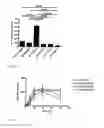 Fig. 07 - USE OF CYCLODEXTRIN FOR TREATMENT AND PREVENTION OF BRONCHIAL INFLAMMATORY DISEASES