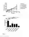 Fig. 09 - USE OF CYCLODEXTRIN FOR TREATMENT AND PREVENTION OF BRONCHIAL INFLAMMATORY DISEASES