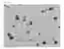 Fig. 07 - Compositions, Methods and Systems for Cellular Differentiation from Stem Cells