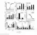 Fig. 02 - Gut barrier dysfunction treatment and prevention