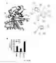 Fig. 06 - Gut barrier dysfunction treatment and prevention