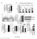 Fig. 07 - Gut barrier dysfunction treatment and prevention