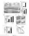 Fig. 09 - Gut barrier dysfunction treatment and prevention