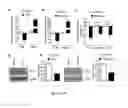 Fig. 14 - Gut barrier dysfunction treatment and prevention