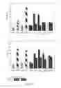 Fig. 02 - RNA WITH A COMBINATION OF UNMODIFIED AND MODIFIED NUCLEOTIDES FOR PROTEIN EXPRESSION
