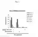 Fig. 04 - HEPATITIS C VIRUS PARTICLES FORMATION PROMOTER, AND METHOD OF PRODUCING HEPATITIS C VIRUS PARTICLES
