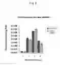 Fig. 07 - HEPATITIS C VIRUS PARTICLES FORMATION PROMOTER, AND METHOD OF PRODUCING HEPATITIS C VIRUS PARTICLES