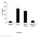Fig. 41 - COMPOSITIONS AND METHODS FOR PREVENTING OR TREATING CHRONIC LUNG ALLOGRAFT DYSFUNCTION (CLAD) AND IDIOPATHIC PULMONARY FIBROSIS (IPF)