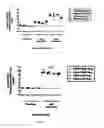 Fig. 05 - Combined enteropathogen recombinant construct
