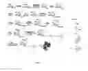 Fig. 07 - Combined enteropathogen recombinant construct