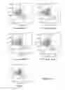 Fig. 07 - ANTHOCYANIDIN COMPLEX FOR THE TREATMENT OF MULTIPLE MYELOMA