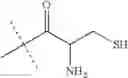 Fig. 149 - Hydrogel prodrugs