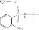 Fig. 158 - Hydrogel prodrugs