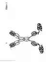 Fig. 04 - Covalently linked antigen-antibody conjugates