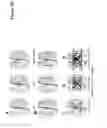 Fig. 41 - Covalently linked antigen-antibody conjugates