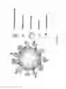Fig. 02 - Paramagnetic solid lipid nanoparticles (pSLNs) containing metal amphiphilic complexes for MRI