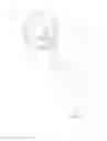 Fig. 29 - Golf club with improved weight distribution