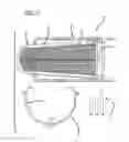 Fig. 06 - Basketball return apparatus