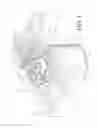 Fig. 02 - Filtration operator
