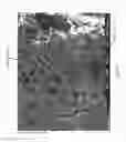 Fig. 03 - POROUS COMPOSITE MEMBRANE MATERIALS AND APPLICATIONS THEREOF