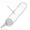 Fig. 01 - CERAMIC FILTRATION MEMBRANE