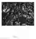 Fig. 08 - Carbon nanotube sponge