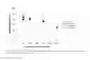 Fig. 15 - Chromatography media and method