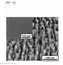 Fig. 06 - Nano composite structure with nano patterned structure on its surface and method of preparing the same
