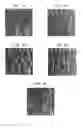 Fig. 07 - Laser-produced porous surface