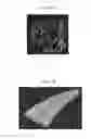 Fig. 41 - Laser-produced porous surface