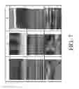 Fig. 09 - Process for bonding lignocellulosic substrates without an added adhesive and products thereof