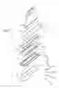 Fig. 08 - Liquid ejecting head and liquid ejecting apparatus