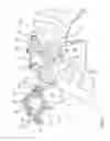 Fig. 02 - Steering wheel assembly, steering wheel and method of actuating a horn