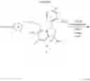 Fig. 28 - 7-hydroxy-indolinyl antagonists of P2Yreceptor