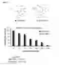Fig. 04 - 5-BROMO-INDIRUBINS
