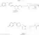 Fig. 274 - Pyridine compounds and the uses thereof