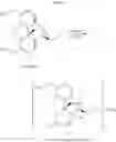 Fig. 12 - PROCESS FOR IMPROVED OPIOID SYNTHESIS