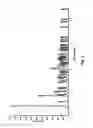 Fig. 02 - Crystalline bortezomib process