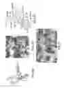 Fig. 03 - STAT3 dimerization inhibitors
