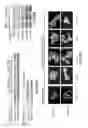 Fig. 06 - STAT3 dimerization inhibitors