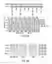 Fig. 10 - STAT3 dimerization inhibitors