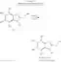 Fig. 22 - RSV antiviral compounds