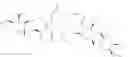 Fig. 02 - Tylosin A analogs and derivatives